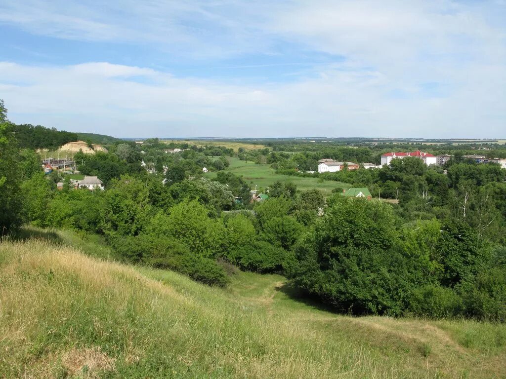 Борисовка новости подслушано белгородская