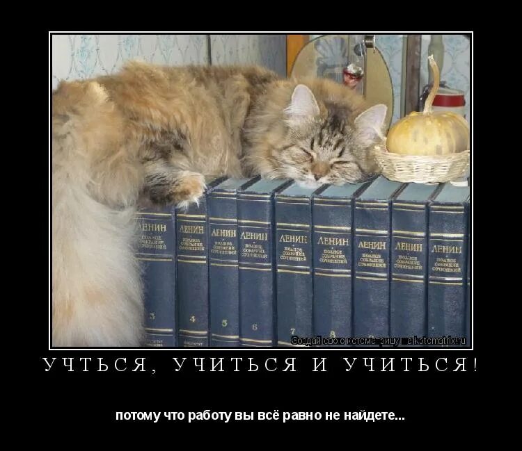 приколы про учебу. советские плакаты. не буду учиться и работать. не буду учиться и работать. не учите нас работать научитесь платить.