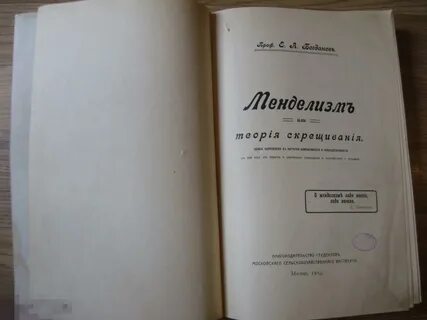 Она кончается первой