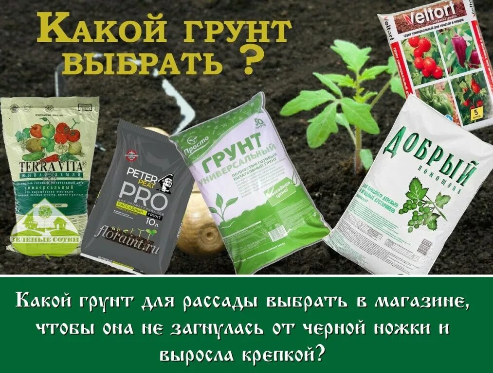 удобрения много. грунт агроном садовая земля 20л 1шт/135шт. Terra vita грунт для рассады 10л. грунт для рассады. рассада.