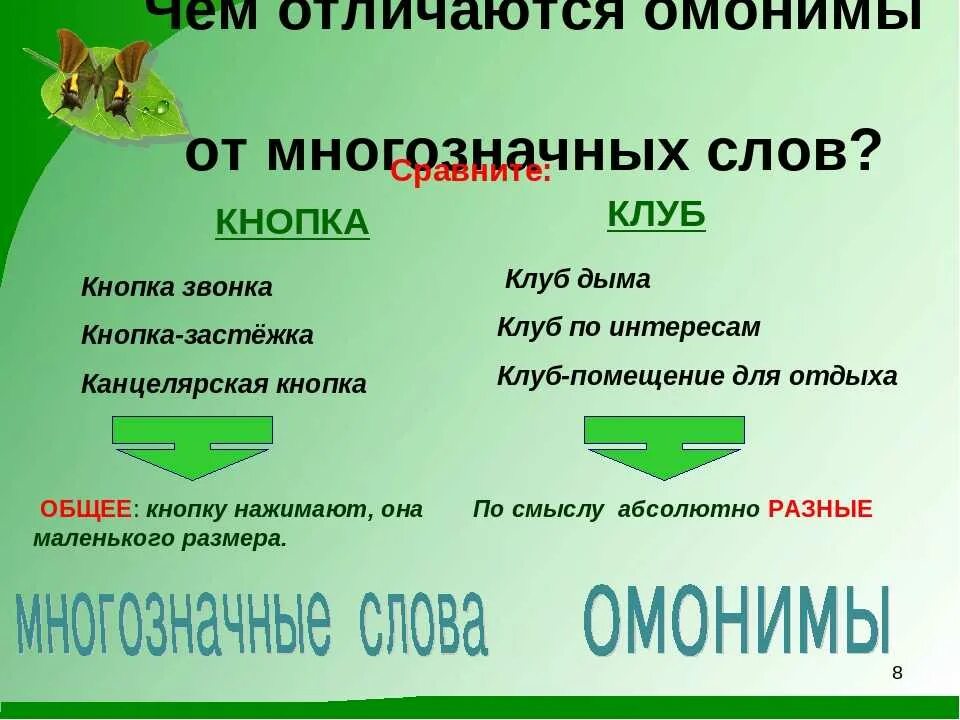 Омонимы. Омонимы примеры 5 класс. Что такое омонимы в русском языке. Омонимы 5 класс презентация.