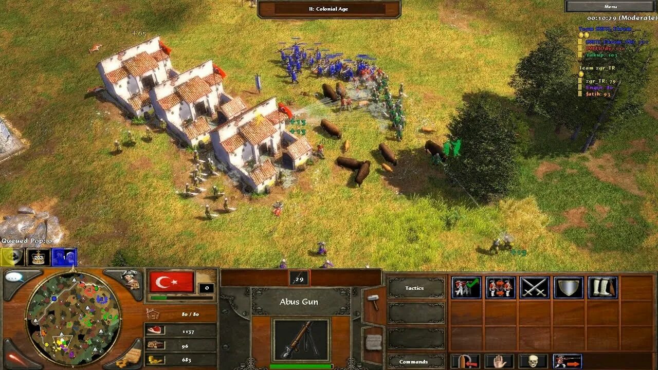 Age of Ottoman. AOE 4 Ottoman.