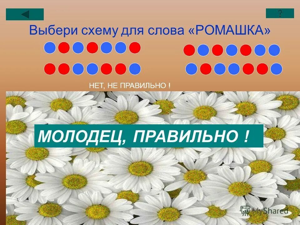 0 0 подобрать слово. Слово Ромашка. Схемы из ромашек. Ромашка по составлению слов. Схема Ромашка для презентации.