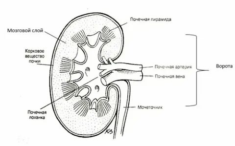 Подписанная схема