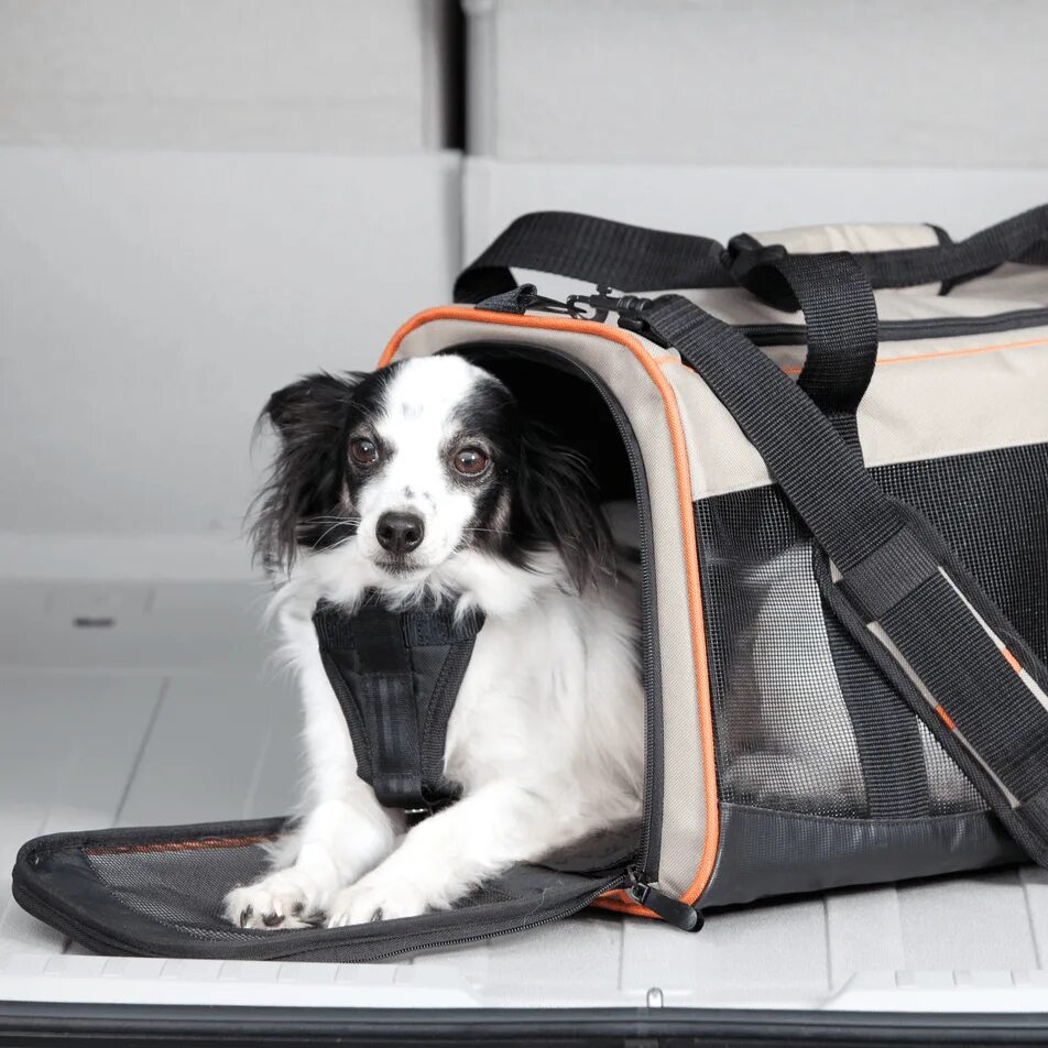 Переноска Caruter Pet Carrier + car т. Сумка переноска для спаниеля. Собака в переноске. Переноски для лабрадоров. Pet bag