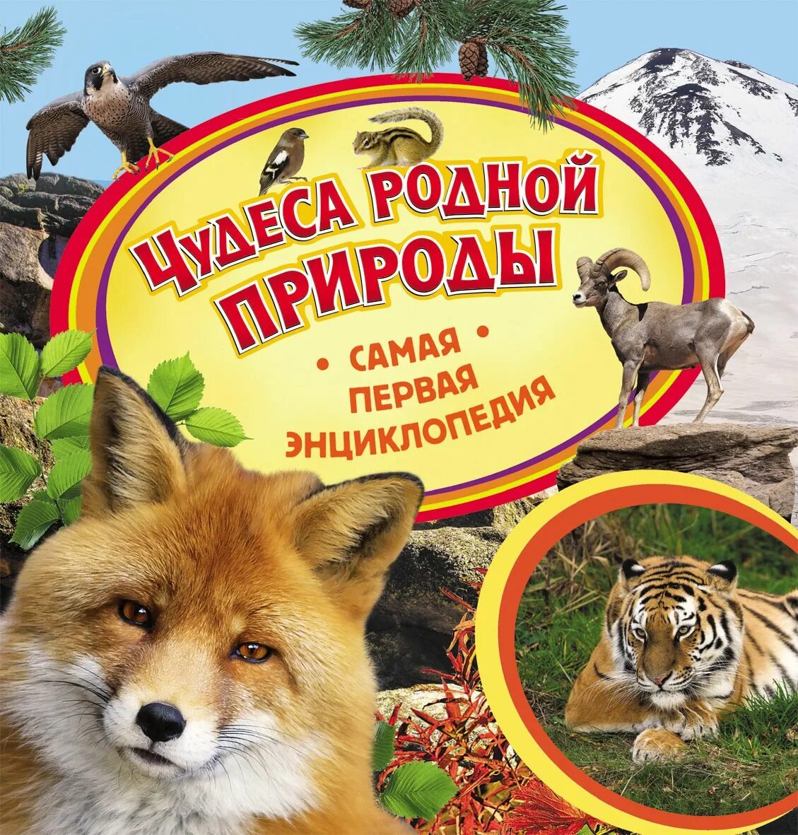 Самые интересные энциклопедии. Книга природа. энциклопедии о природе для детей. самая первая энциклопедия. обложка книги о природе.