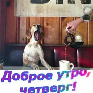 Четверг 10 утра