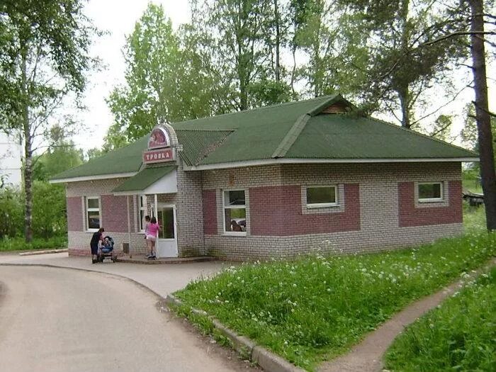 Лагерь ленинградец ленинградская область. Дол победа цвелодубово. Голубое озеро лагерь ленинградская. Кп корабельные сосны рощино. Работа п рощино.