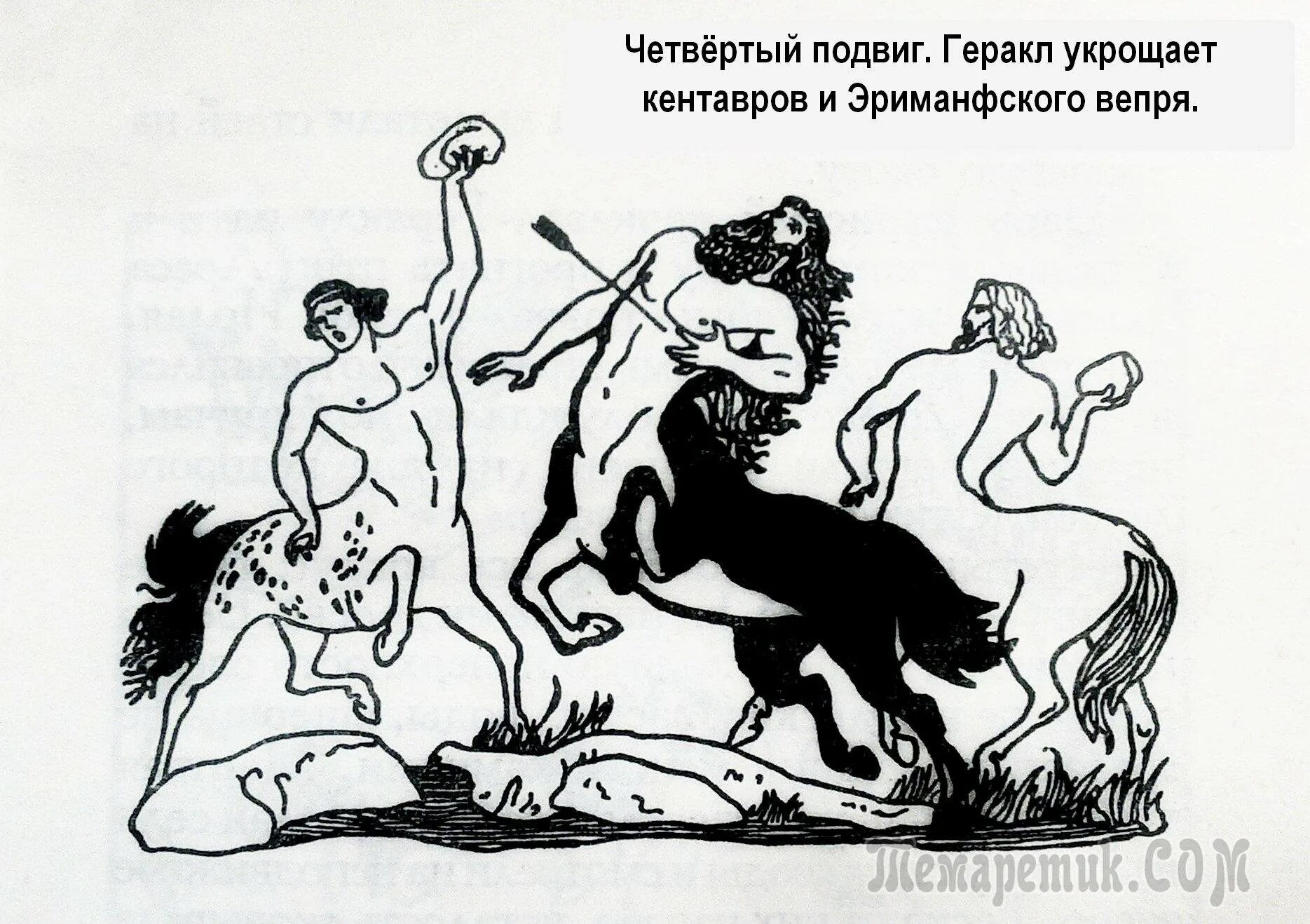12 подвиг геракла картинка