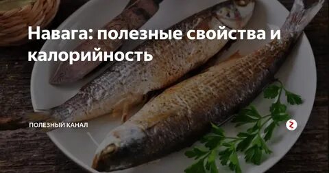 Навага рыба польза и вред для здоровья