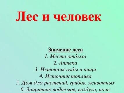 Конспект жизнь леса