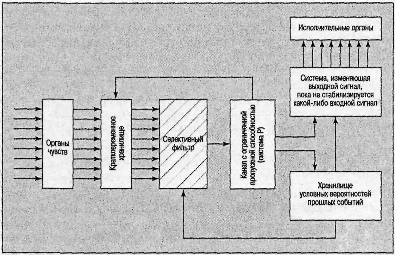 Схема управления информационными потоками. Фильтрация информационных потоков. Фильтрация информационных потоков. Схема информационных потоков системы. Теория бродбента (ранняя селекция).