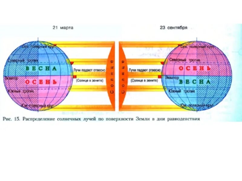 Северное полушарие 22 23 сентября. Распределение солнечных лучей на земле. Угол падения солнечных. Положение солнца в дни равноденствия и солнцестояния. Угол падения солнечных лучей в дни равноденствия.