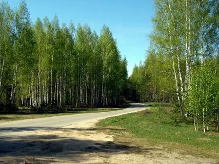 Рязанская область спас