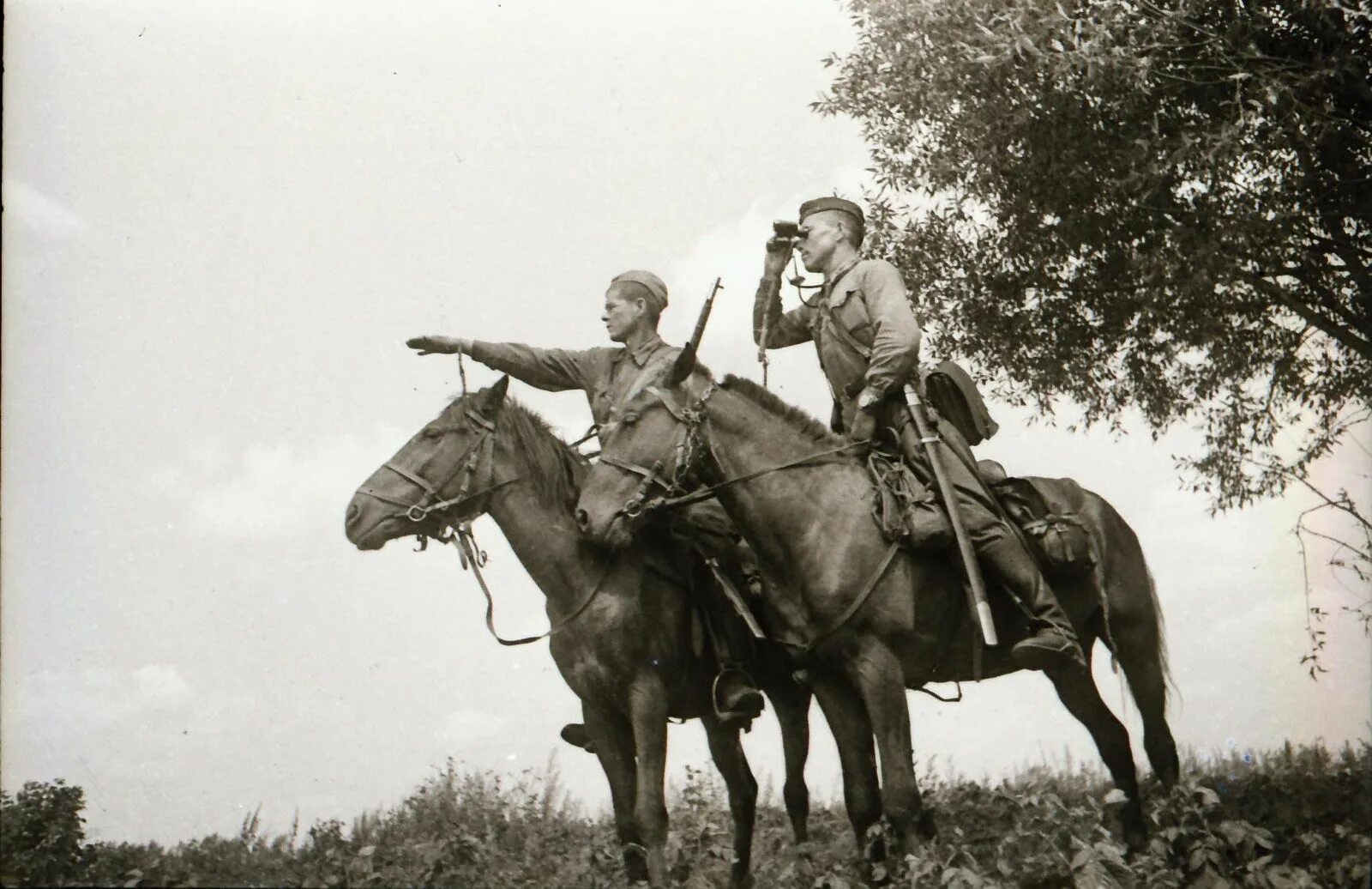 Кавалеристы 1942. Савойя кавалерия. Кавалерийская дивизия вермахта. Кто такие кавалеристы