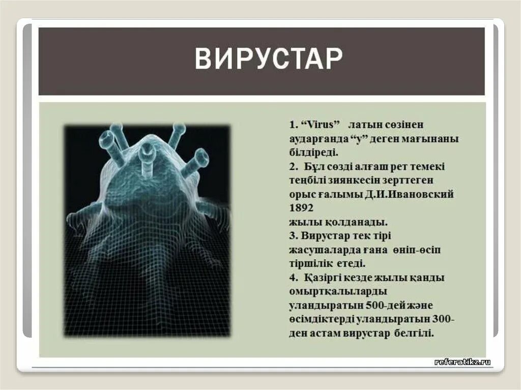 Компьютерные вирусы презентация. Вирусы слайд. Компьютерлік лингвистика деген не. Компьютерные вирусы презентация. Вирусы и антивирусы.