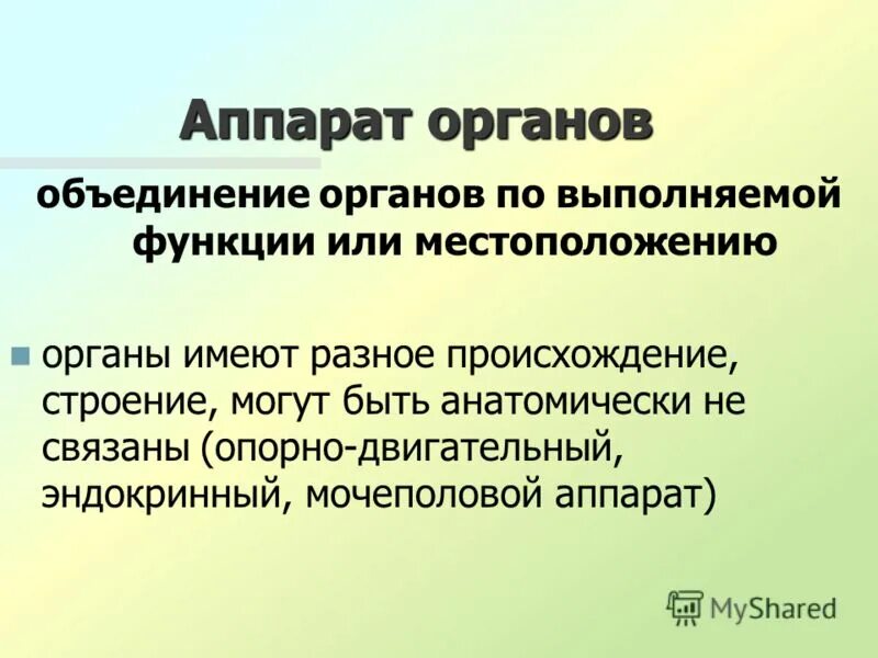 5 закономерностей биообразования. Закономерности строения организма. Закономерности строения организма. Закономерности строения животного организма. Общие закономерности строения скелета.