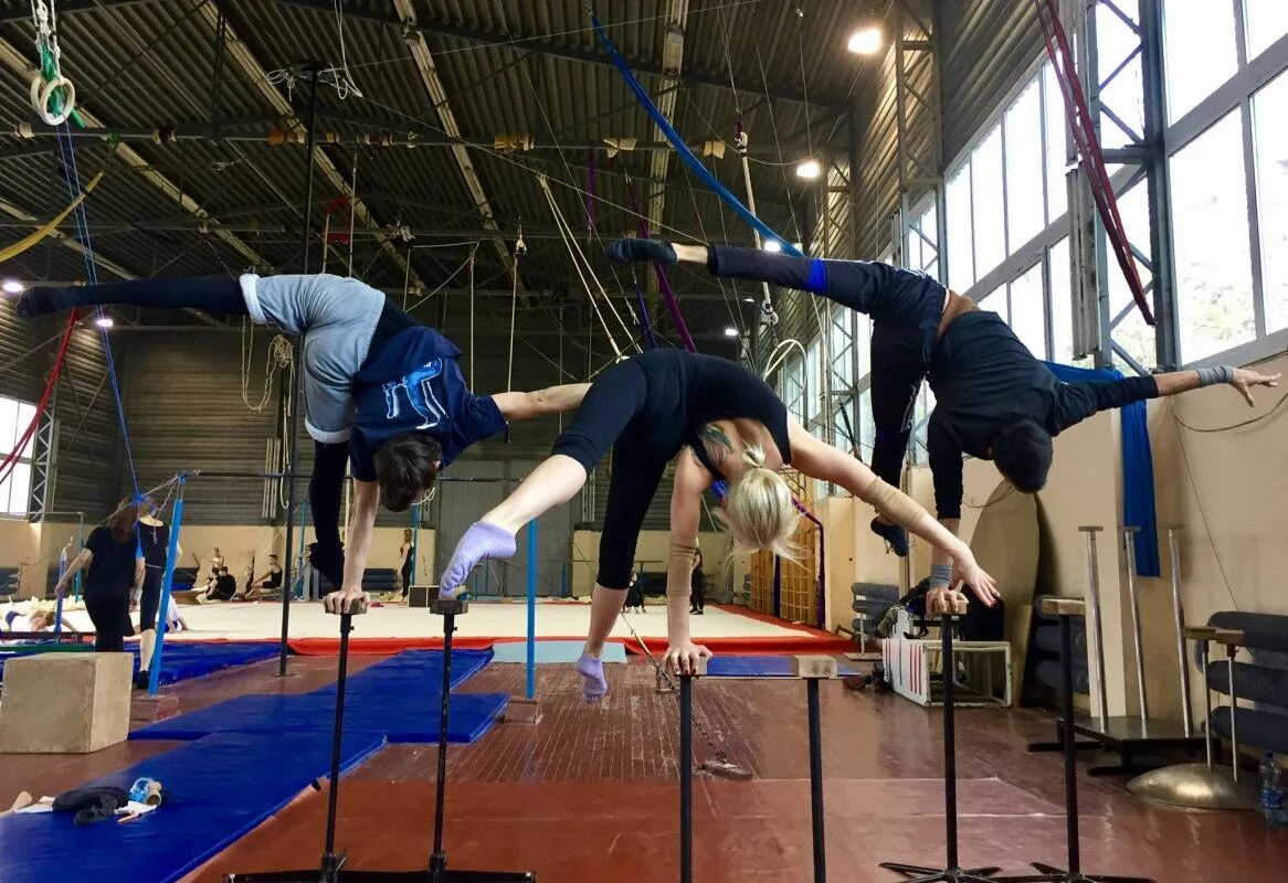 гуцэи. цирковое искусство. цирковое училище в санкт-петербурге. цирковое училище для детей. эстрадно-цирковое училище.