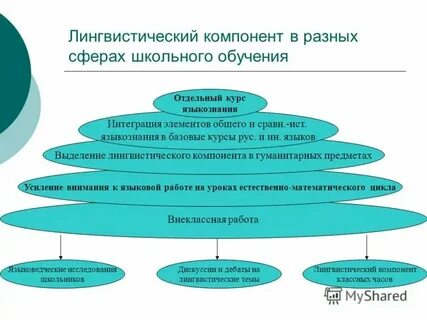 Лингвистический компонент содержания обучения