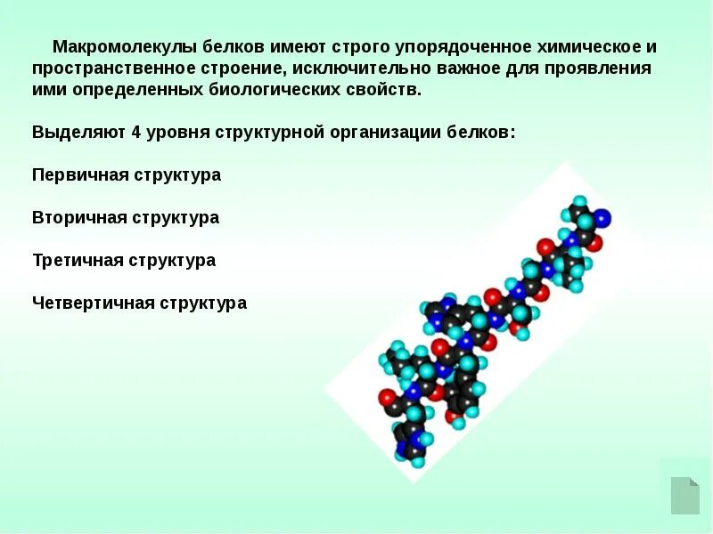 Почему молекулы белков получили название макромолекулы. Химическая структура белков. белки химическая структура. пространственное строение белков. макромолекулы белков.