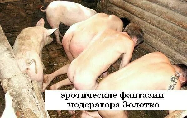 Порно Со Свиньей