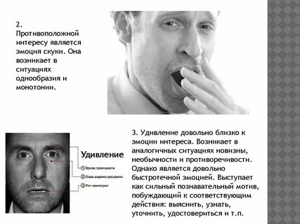Проявить какой либо интерес удивляться