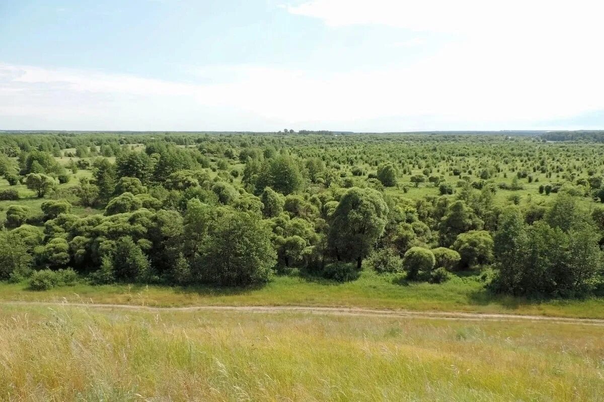 Популярные санатории Тамбовской области Курортная панорама Дзен