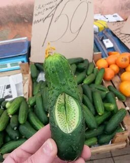 День жопки огурца
