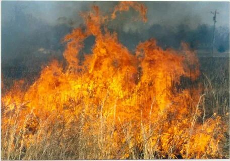 Big fire