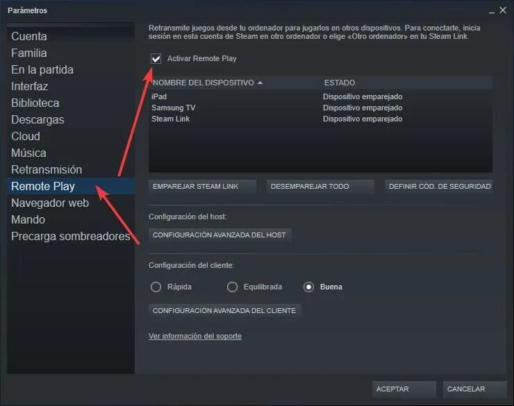 Как играть игры друга через стим. Стим ремоут плей. Steam Remote. Где в стиме Remote Play. Подключился к компьютеру через стим.