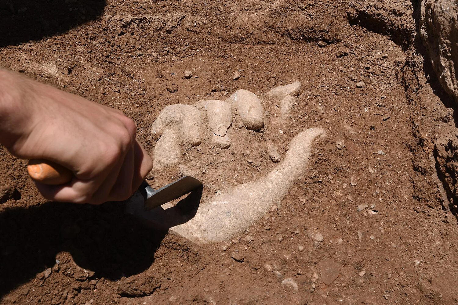 Вади-аль-хитан. Достижение археолог. Археологические раскопки. Археолог крым 1965. Достижение археолог.