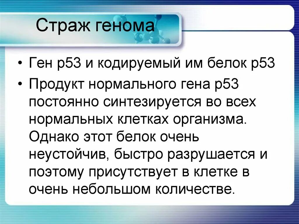 Ген р. Функции гена p53. белок р53 функции. ген белка р53. ген р53 функции.