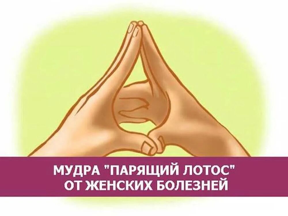 Мудра парящий Лотос техника выполнения. Мудра лотоса. Мудра парящий Лотос от женских болезней. Мудра парящий Лотос от женских болезней техника.