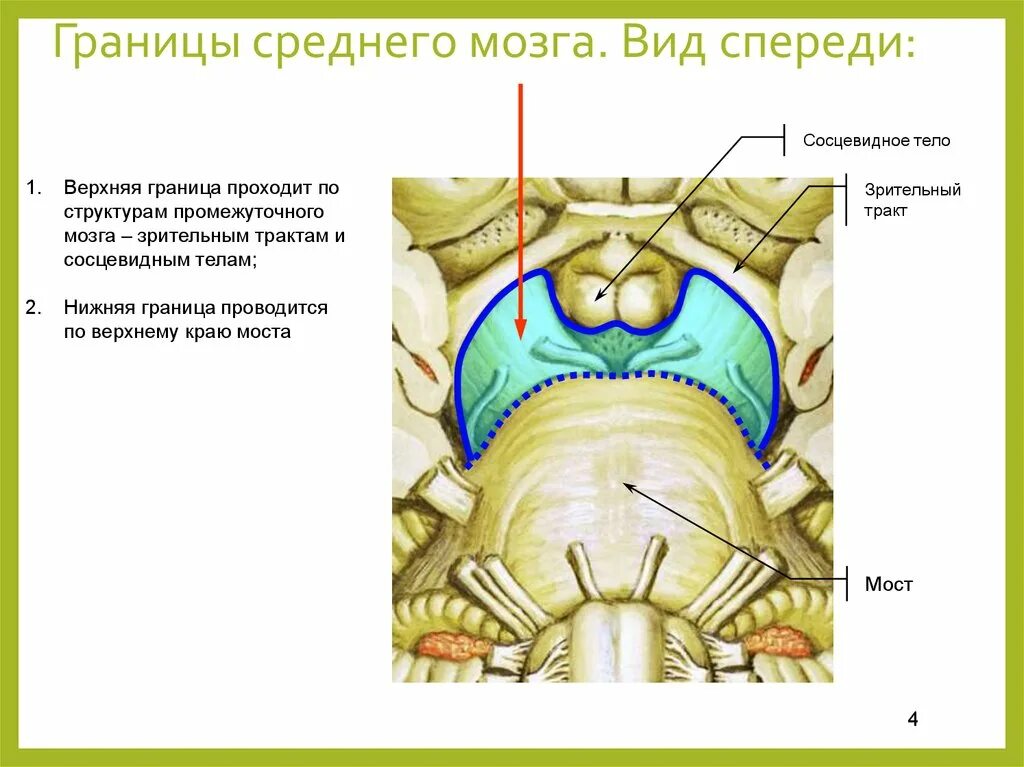 Перелом заднего отростка таранной кости рентген. Переломы наружной лодыжки классификация. Репозиция лодыжек закрытая. Изолированные переломы заднего отростка таранной кости. Перелом мальгеня лодыжки.