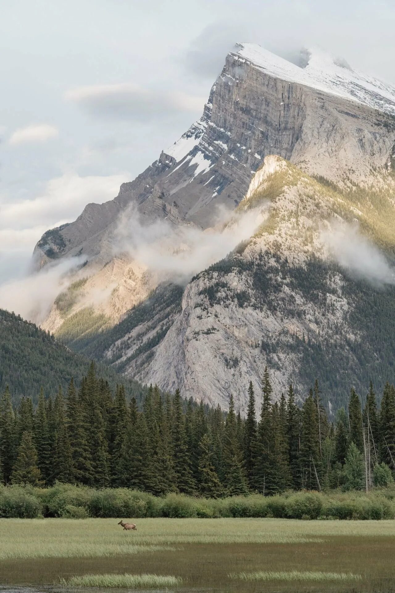 Горы снизу. Гора Селеста в Канаде. Горы фото. Горы вид снизу. Красивые фото гор.