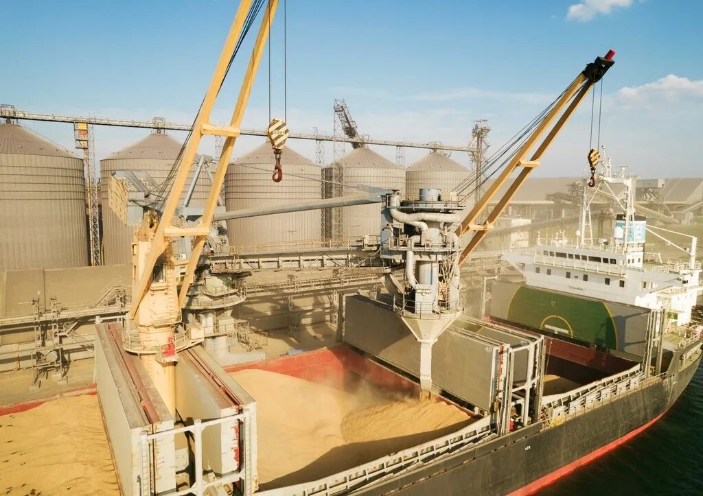 Зерно турции. Зерно турции. Экспорт зерна. Отгрузка зерна. Поставки зерна.