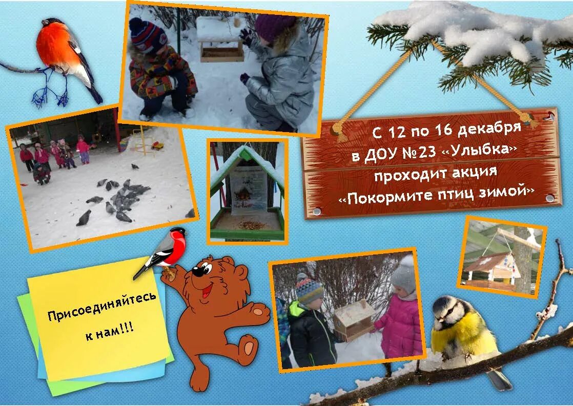 Покормите птиц зимой в детском саду отчет. Покормите птиц зимой в детском саду отчет. Презентация покормите птиц зимой. Экологическая акция покормите птиц зимой в школе. Акция покормите птиц зимой.