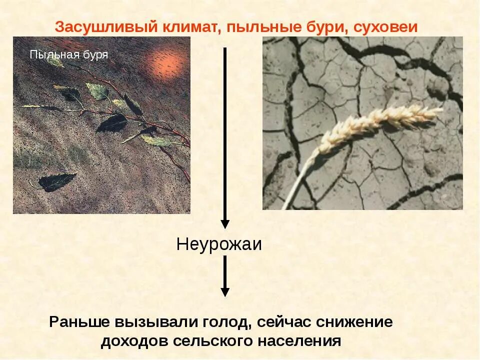 Как выглядела степь раньше и сейчас. Как выглядела степь раньше и сейчас. Степь раньше и сейчас. Степь раньше. Курган в степи.