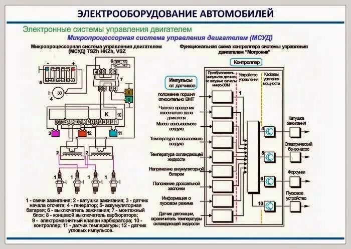 Электрические системы авто. Система электрооборудования автомобиля схема. Система управления двигателем ЭСУД. Схема системы электрооборудования легкового автомобиля. Схема электронной системы управления двигателем.