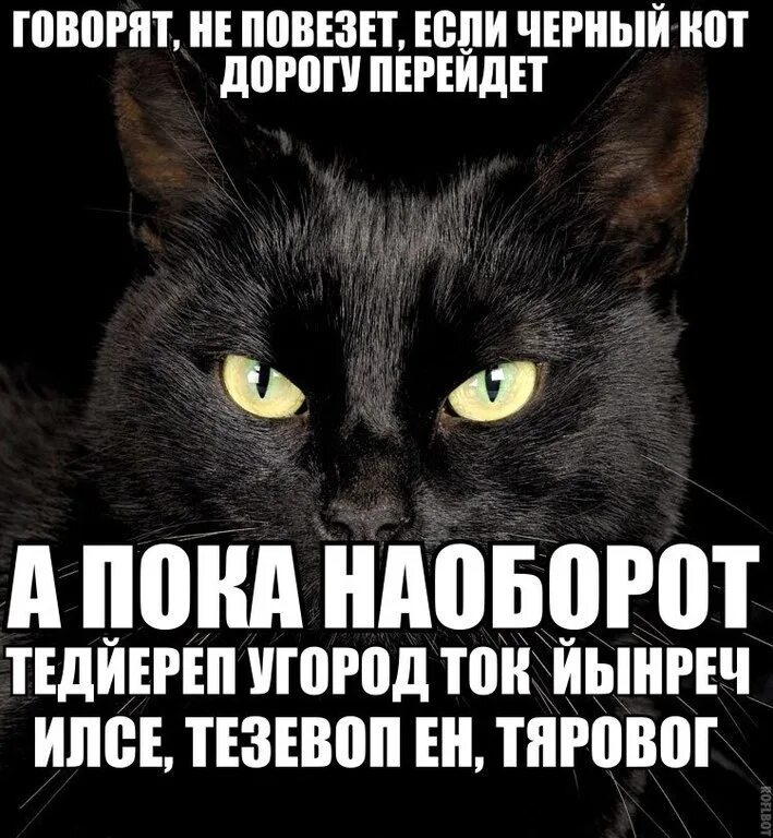 Как говорится как повезет