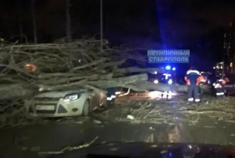 Чп ставропольского