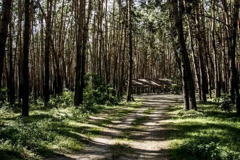 Пикник парк белгород