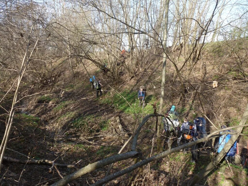 Переход через овраг. Деревянный мостик в пкио кузьминки. Переход через овраг. Переход через овраг. Переход через овраг.