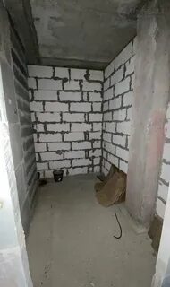 Балашиха безымянная