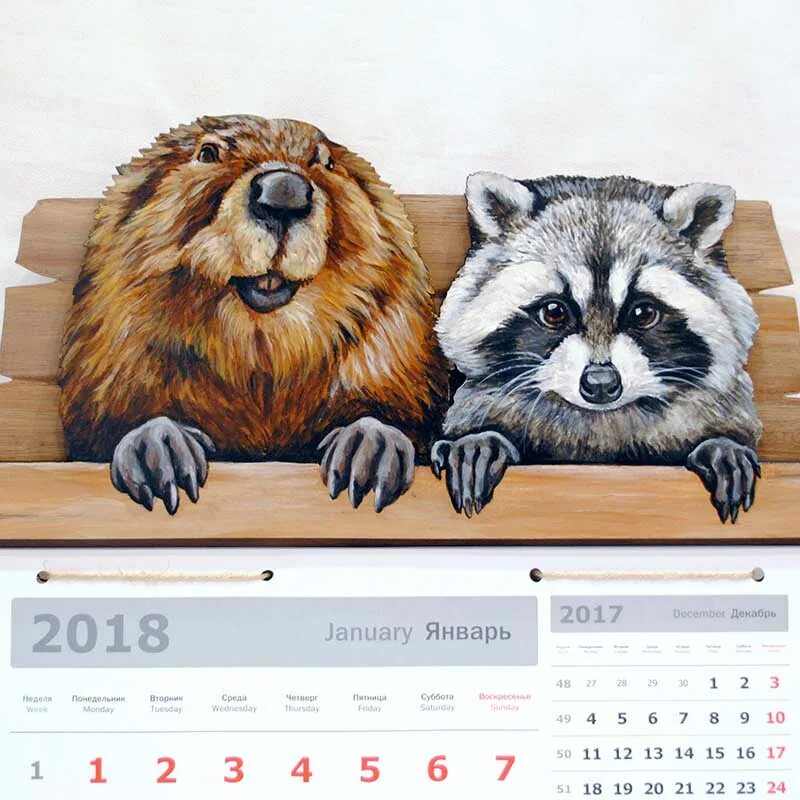 Расписание бобры. Расписание бобры. Календарь с енотом. Расписание бобры. Бобры доклад.