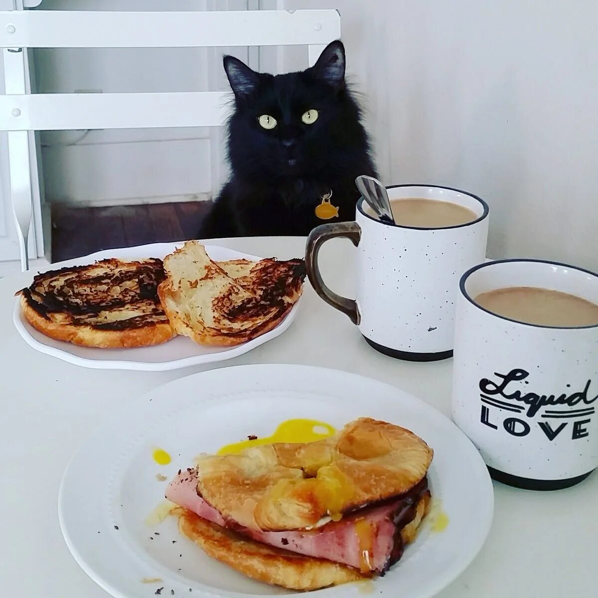 Кошки утро смешно. Котик утро. Завтрак с котом. Доброе утро кот. Доброе утро с кошками.