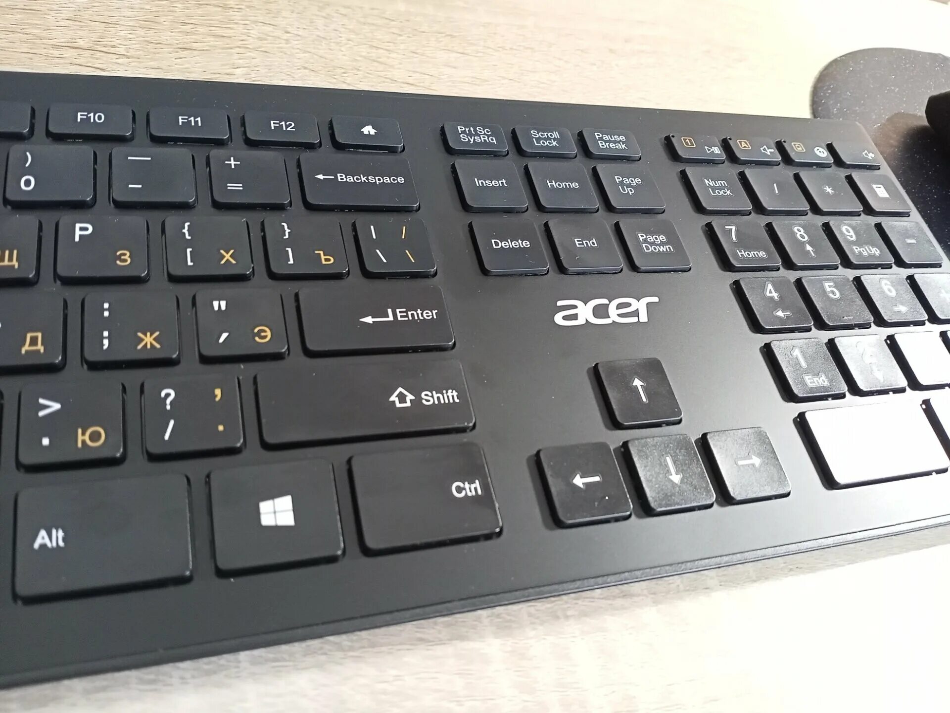 Acer okr010