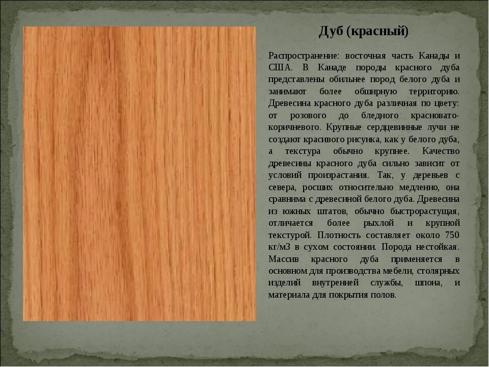 Породы красного дерева. Красноватые породы деревьев. Пихта структура древесины. Структура дерева дуб. Свой красное дерево текст