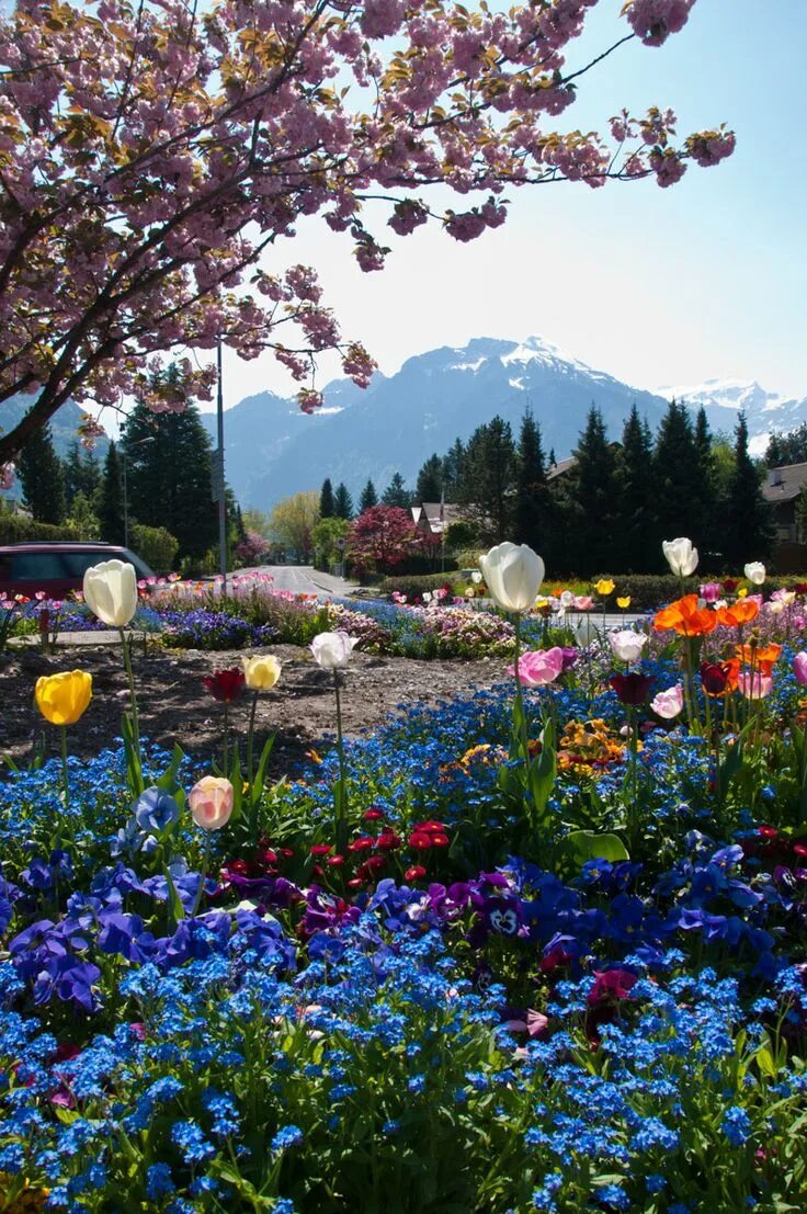 Spring travel