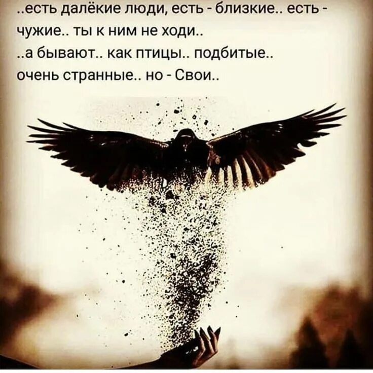 Статусы про странных людей. Есть далёкие люди есть близкие есть чужие ты к ним не ходи. Мистические высказывания. Высказывания о странных людях. Очень странные дела мем.